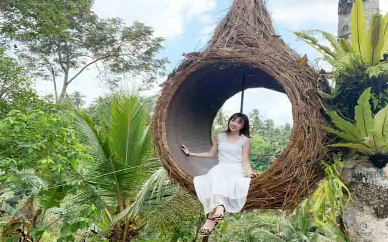 ubud jungle swing ubud jungle swing
